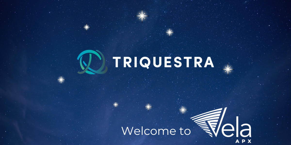 Triquestra logo surrounded by eight stars of the Vela constellation in night sky.