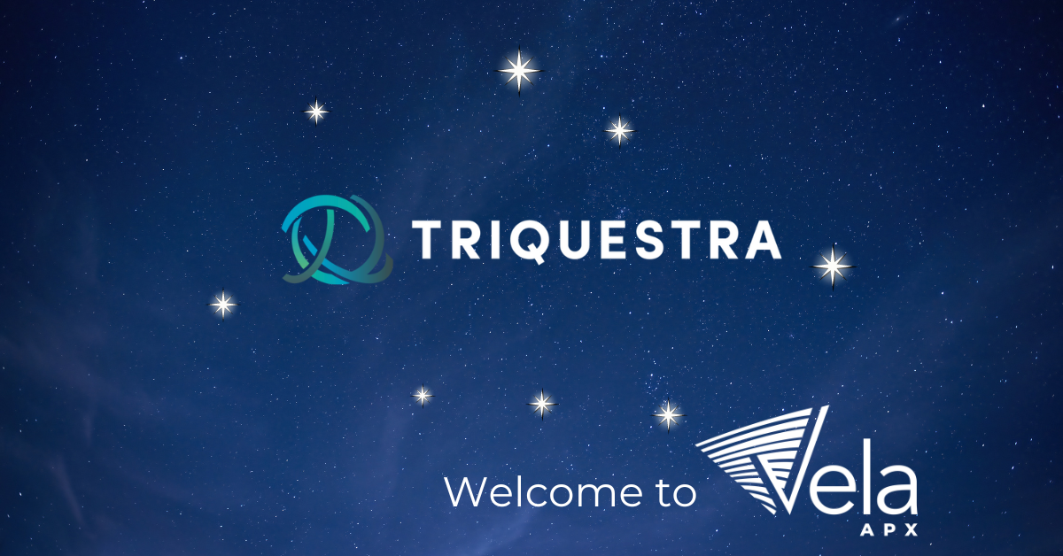 Triquestra logo surrounded by eight stars of the Vela constellation in night sky.