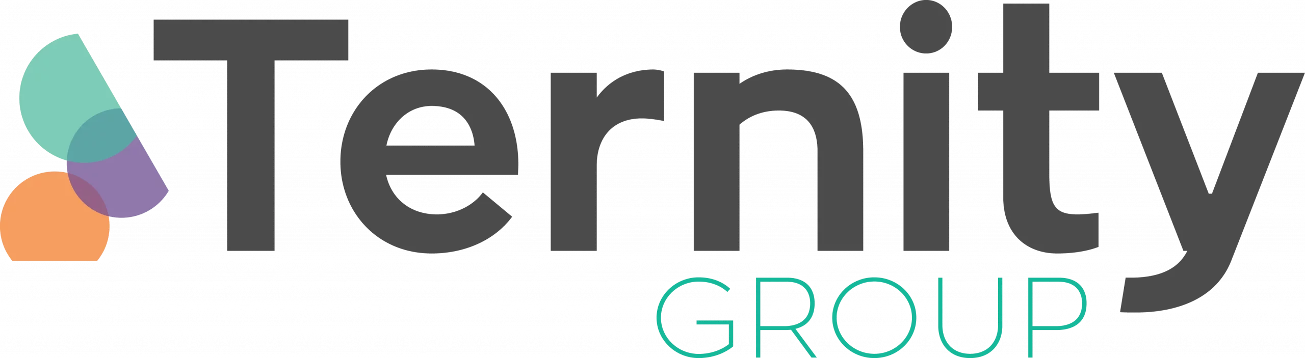 Ternity Group Logo